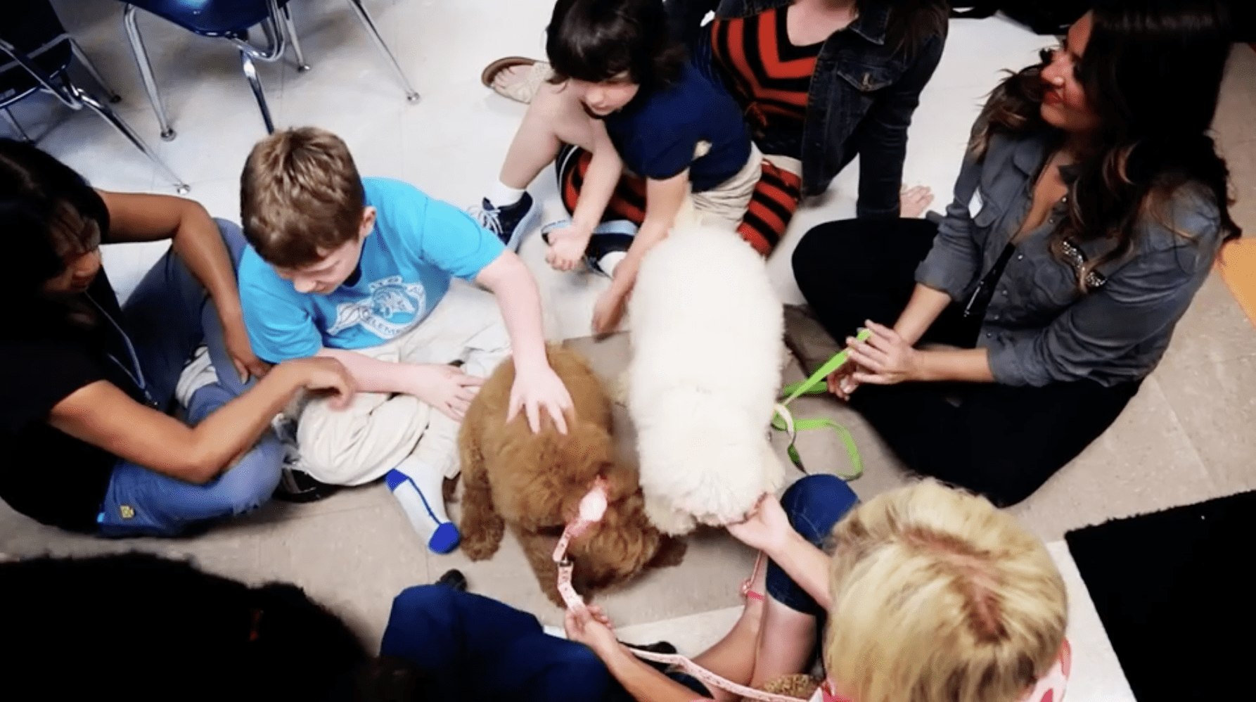 Therapy dogs for kids with Autism